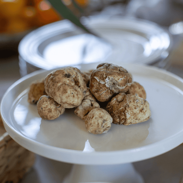 Bianchetto Truffle Salt